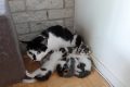 wp-1596527643567681026026304061479-scaled
