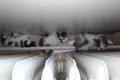 wp-15971423535582574687030893077877-scaled