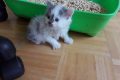 wp-15973306417258516763074973169067-scaled