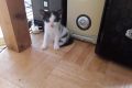 wp-15973306731627850414111270532592-scaled
